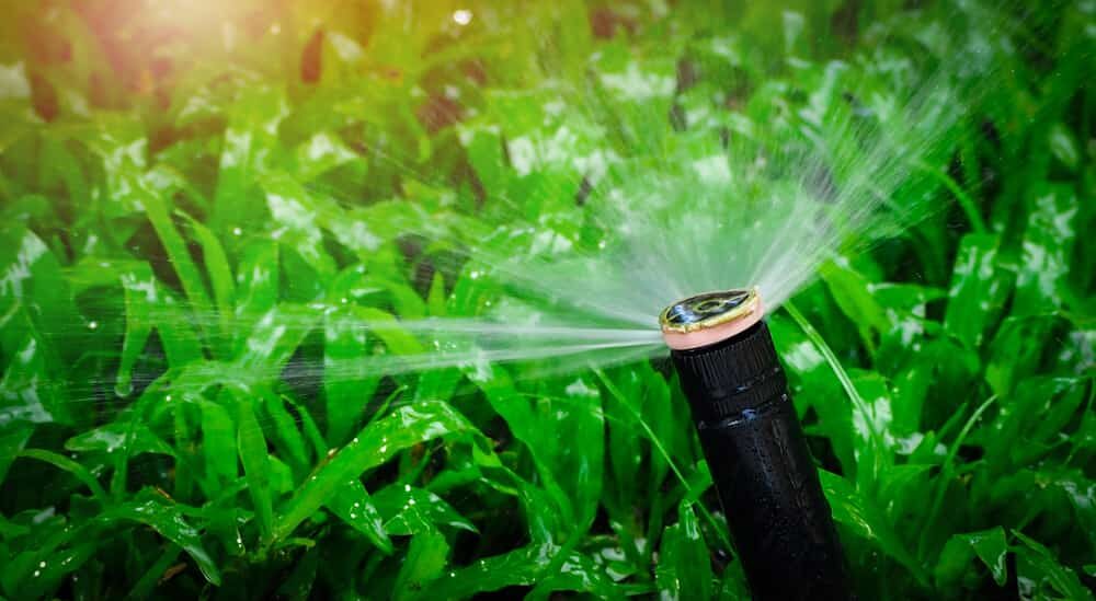 irrigation automatique