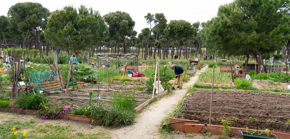 jardin communautaire municipal