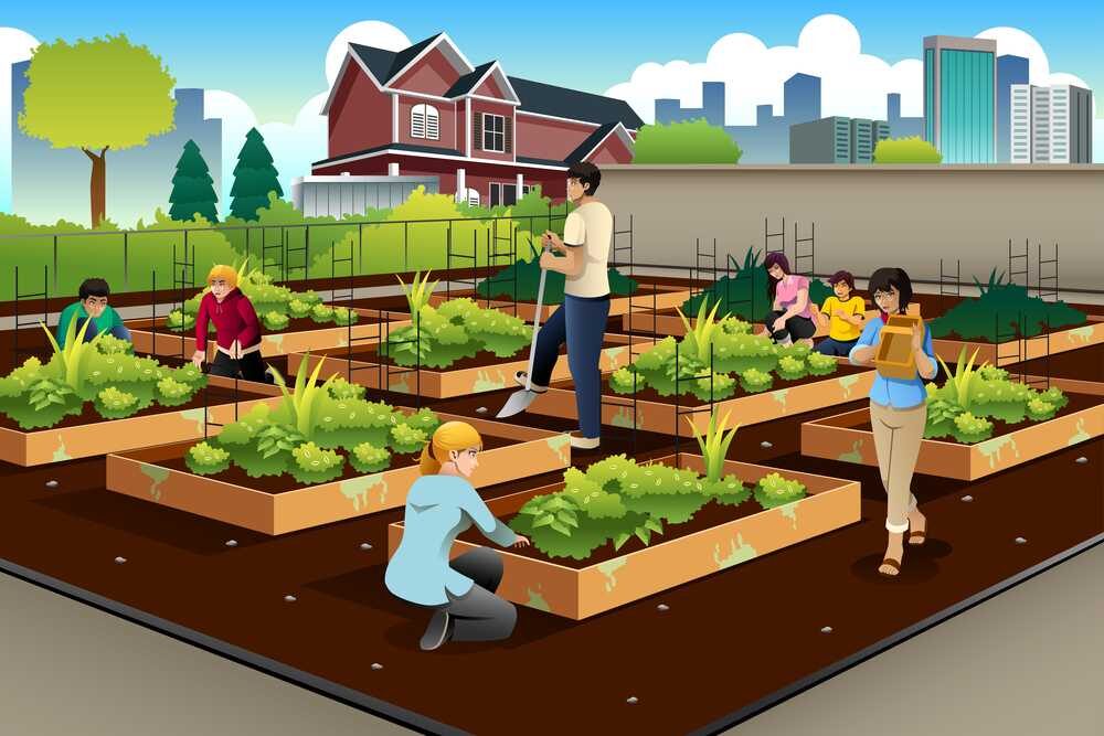 jardinage communautaire dessin