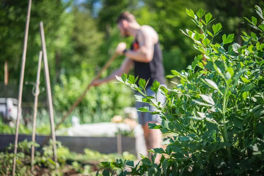 jeune homme dans un jardin participatif