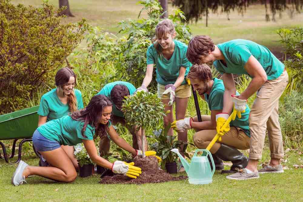 jeunes dans un jardin participatif