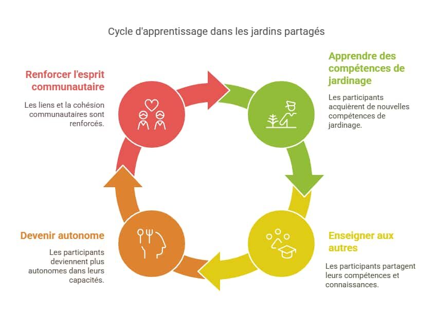 cycle d'apprentissage dans les jardins partagés