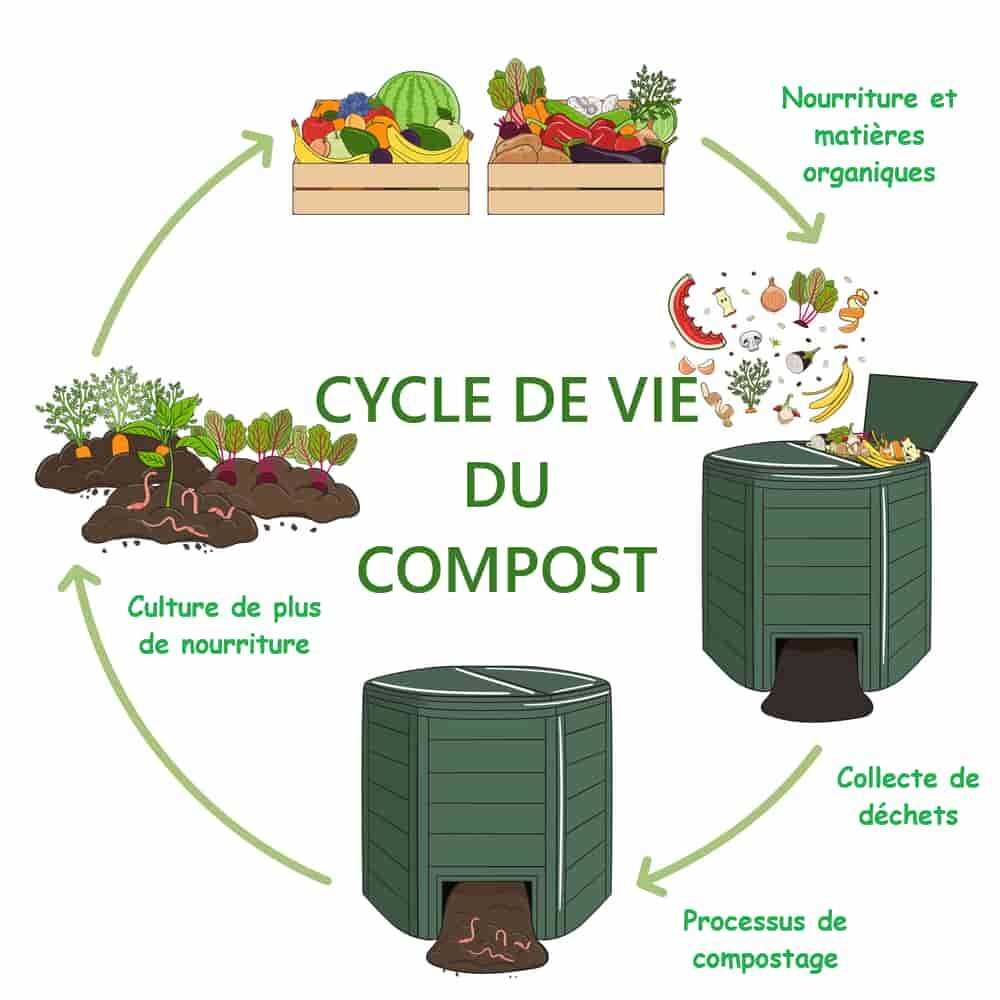 cycle de vie du compost