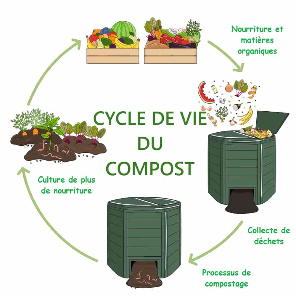 Composter en ville : astuces et conseils pratiques - De-beaux-jardins.com