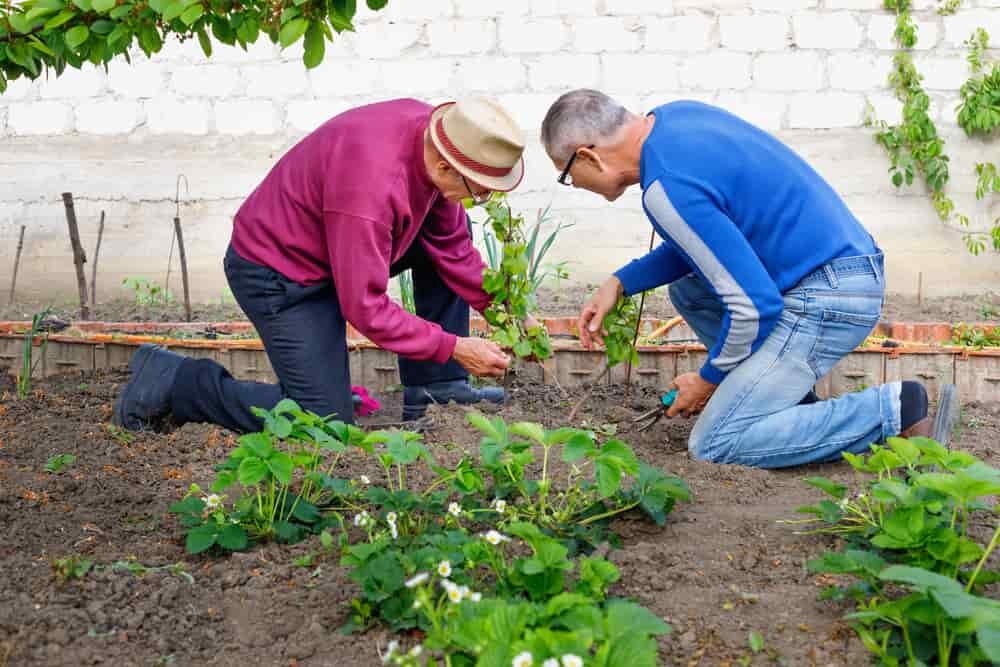 formation permaculture