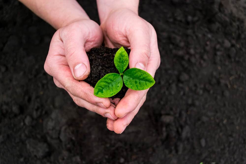 jardinage et écologie