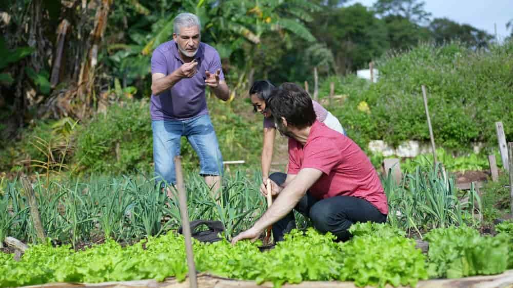 jeune jardinier se formant a la permaculture