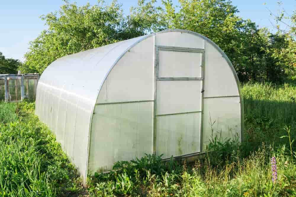 serre bioclimatique dans le jardin