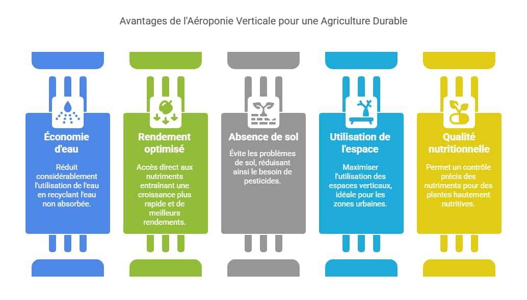 avantage de l'aéroponie verticale pour une agriculture durable
