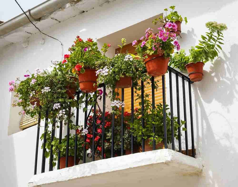 balcon fleuri