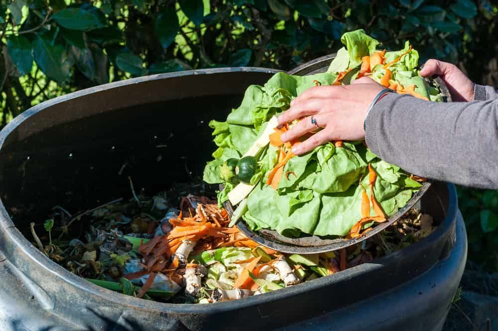 compostage de dechets de cuisine