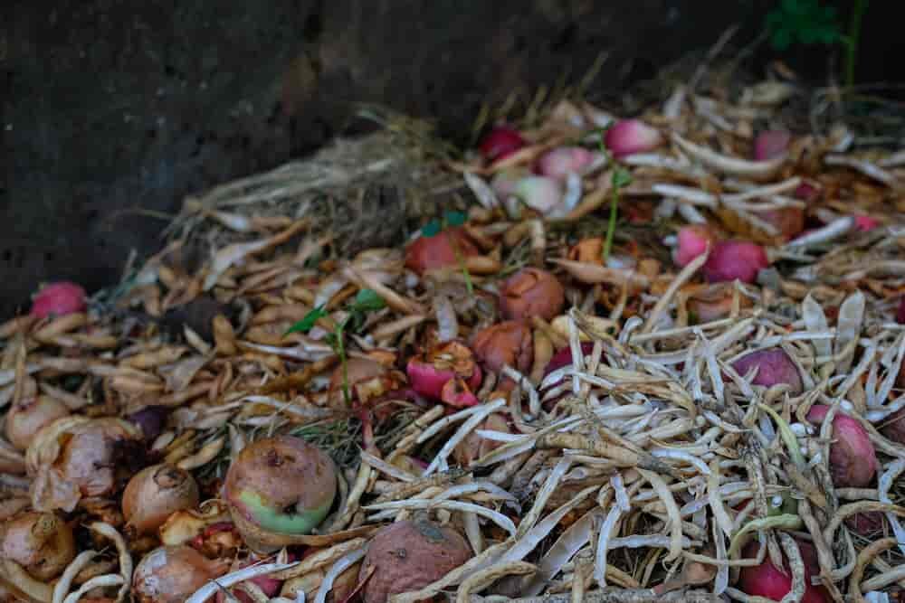 fosse à compost à la maison