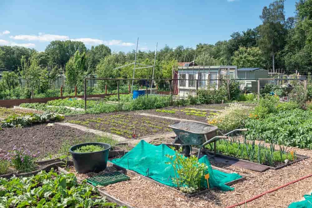 jardin familial