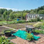 jardin familial