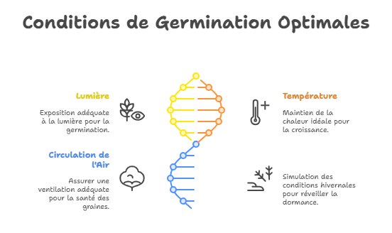 comment faire germer des graines : conditions de germination optimales