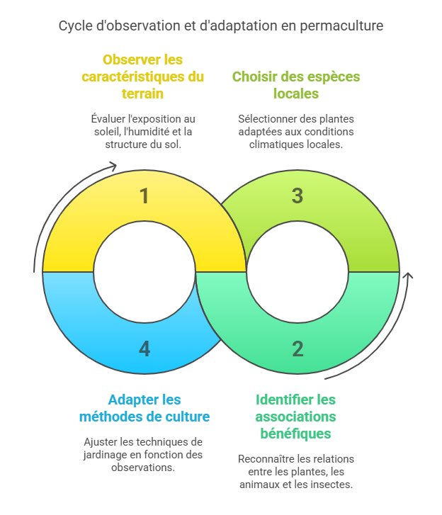 Permaculture pour les nuls cycle d'observation et d'adaptation en permaculture