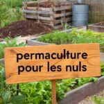permaculture pour les nuls