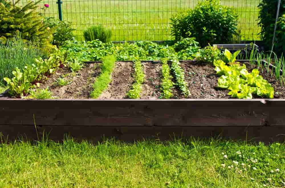 remplir carré potager